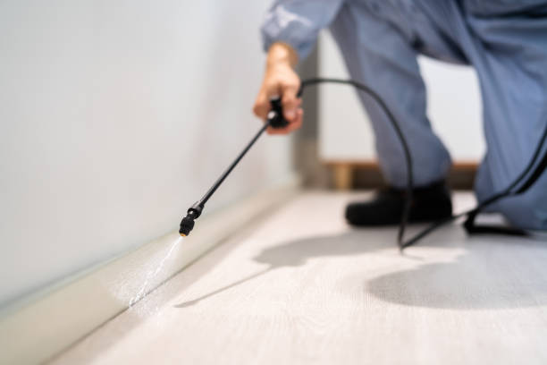 Licensed Pest Control service in Boise City, OK - Show Me Pest Control
