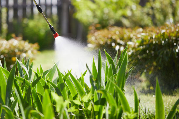 Tamper-Resistant Bait Stations for Rodents in Boise City