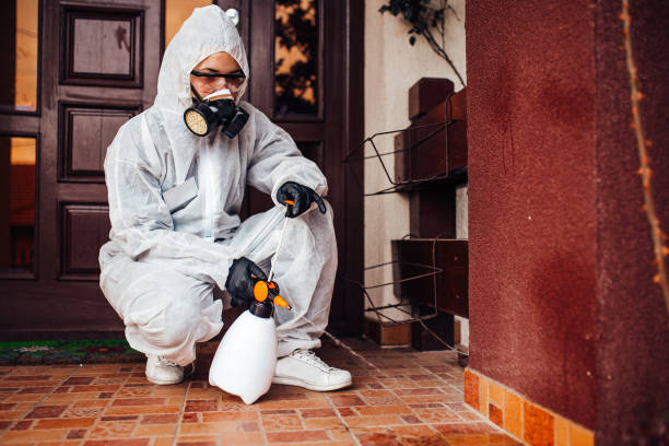 Attic and Crawl Space Rodent Treatment in Boise City