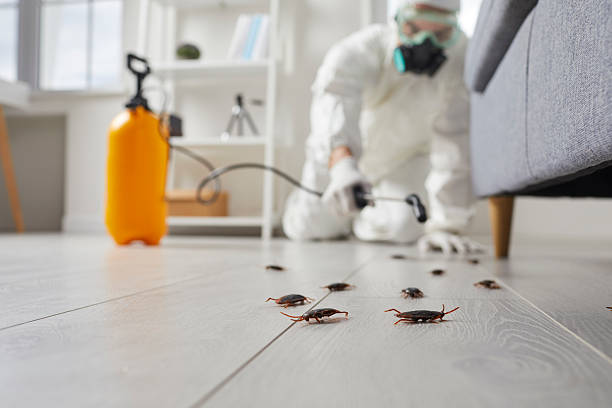 Commercial Rodent Management in Boise City